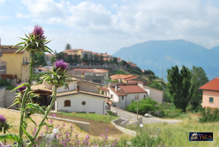 cardo a san lupo.JPG